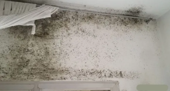 EliminarHumedadesyCondensacionesconPoliuretanoenMolinadeSegura Murcia 1920w