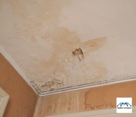 filtracionesencielorasoencartagena murcia 1920w